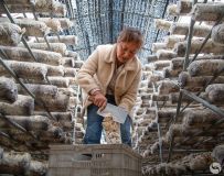 ������ֲϲ����գ�4��