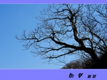 յ