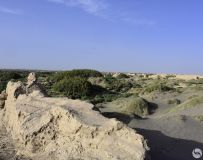 ��ʷ��Ǩ  �������ų���ַ