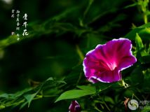 ǣţ ʮ