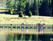 ����˹����Ȼ���