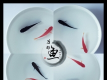 ӡѡ