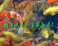 2018ƺף
