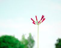 ˰5