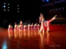 ͩС2013<ʵ>--ŵ衷