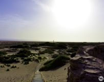 ��ʷ��Ǩ  �������ų���ַ