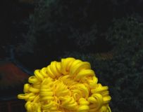 㣨3