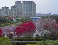 城市之春