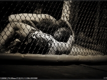 MMAֳ