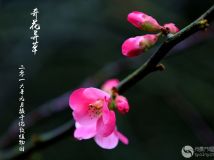 滨֮ʮ