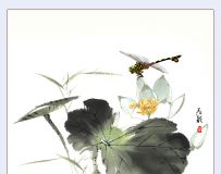   ӰƷ