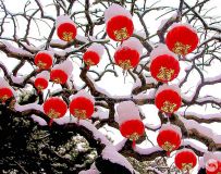 ѩ