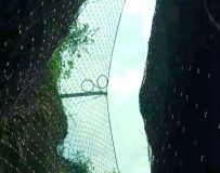 Ȼ