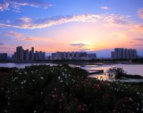 羰25.8