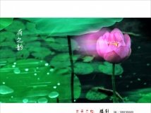 ֮