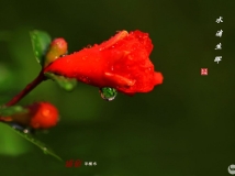 ˮ