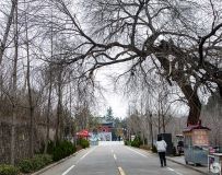 古刹风穴寺随