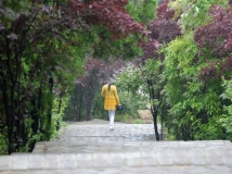 ԼԷ04