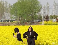 ̽