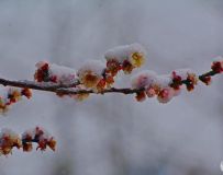 ѩЖ 3
