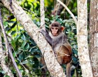 ����С�ڱ�