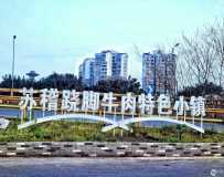 ջνţɫС