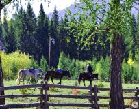 ����˹���½���