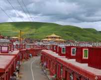 Զ뷲
