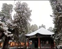 2025�������һ����ѩ��