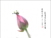 ˮīɻ