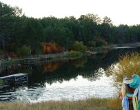 ����֮��