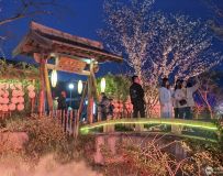 黨ҹɫ6
