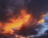 ˮ