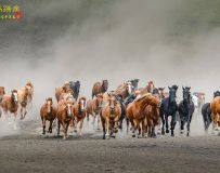 ����������㼲����ͼ��