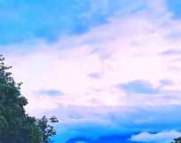 쿪һɶ