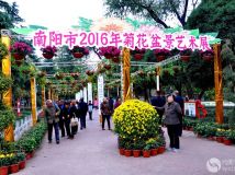 2016ջ辰չӰйɷʵ