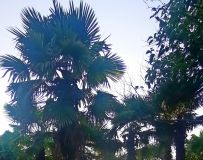 ֮Ҳ 5