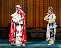 ����-ĵ��ͤ