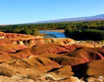 �½������˹�����̲