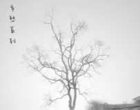 ϵ֮