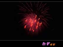 ͩزԪ̻