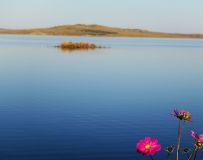 ��ԭ����