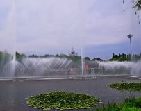 һǰϦȪ(103 11