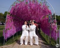 չݻģ9