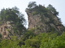 دţ