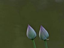 _14