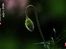 ˻
