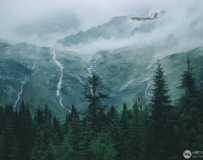 ɽҰ