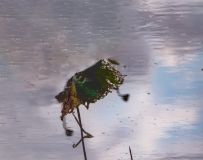 к