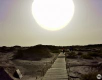 ��ʷ��Ǩ  �������ų���ַ